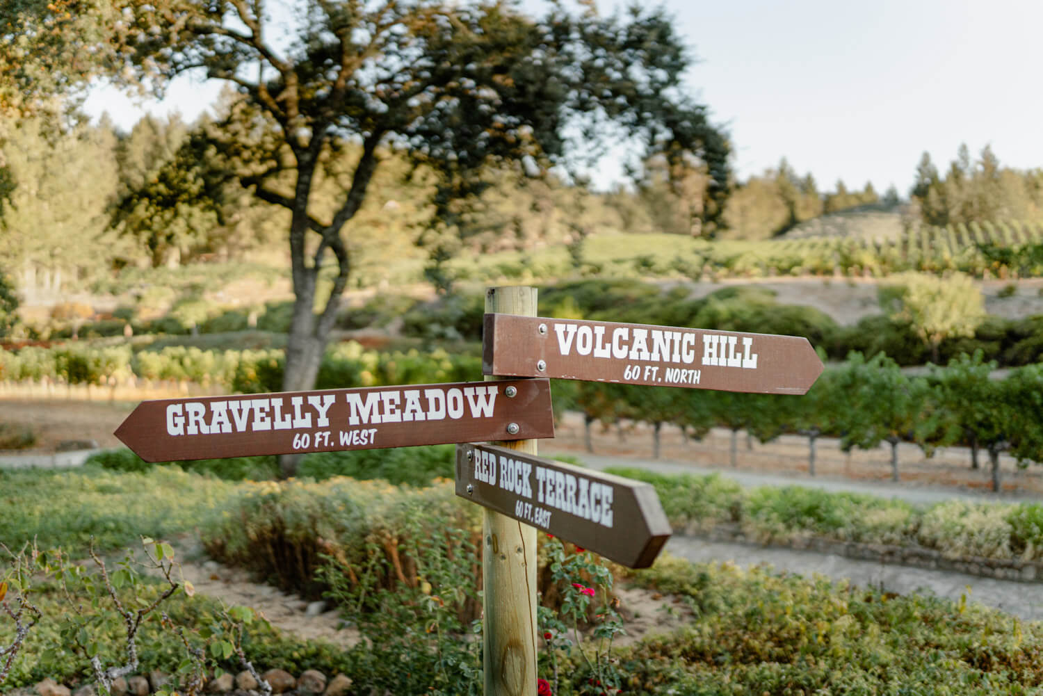 Sign at Diamond Creek