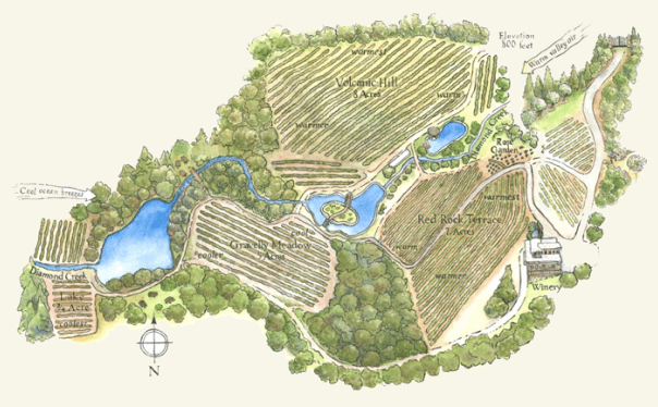 Estate Map of Diamond Creek